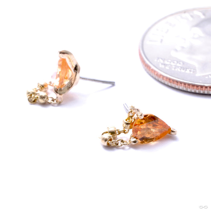 1000 Percent Press-fit End in Gold from Pupil Hall with spessartine