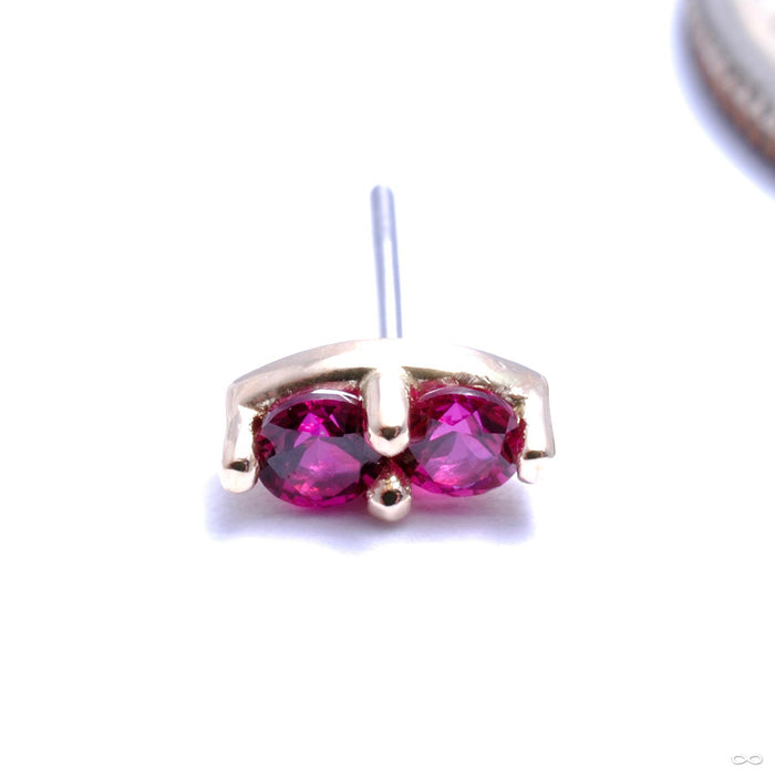 14k Yellow Gold / Dark Ruby