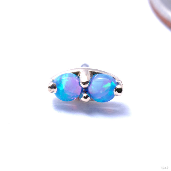 2 Stone Marquise Press-fit End in Gold from LeRoi with Blue Opals