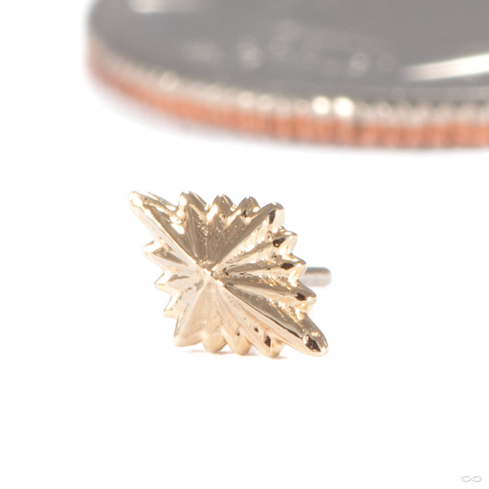 3am to 4am Press-fit End in 14k Yellow Gold in 3am from Regalia