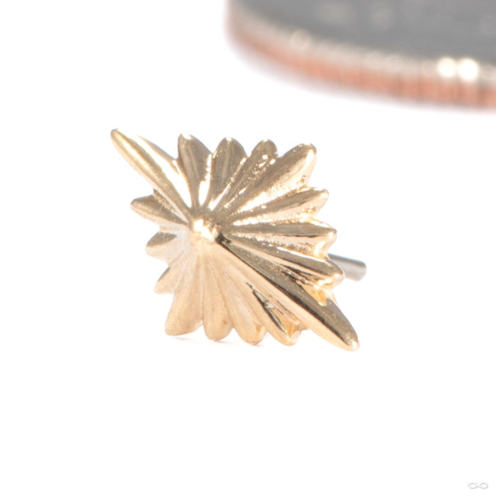 3am to 4am Press-fit End in 14k Yellow Gold in 4am from Regalia