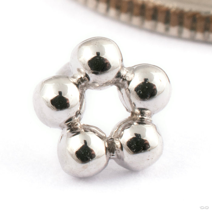 5 Bead Circle Press-fit End in Gold from BVLA in 14k White Gold