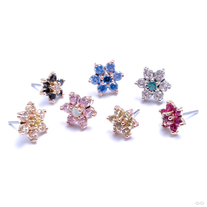 7 Stone Flower Press-fit End from LeRoi in Assorted Colors