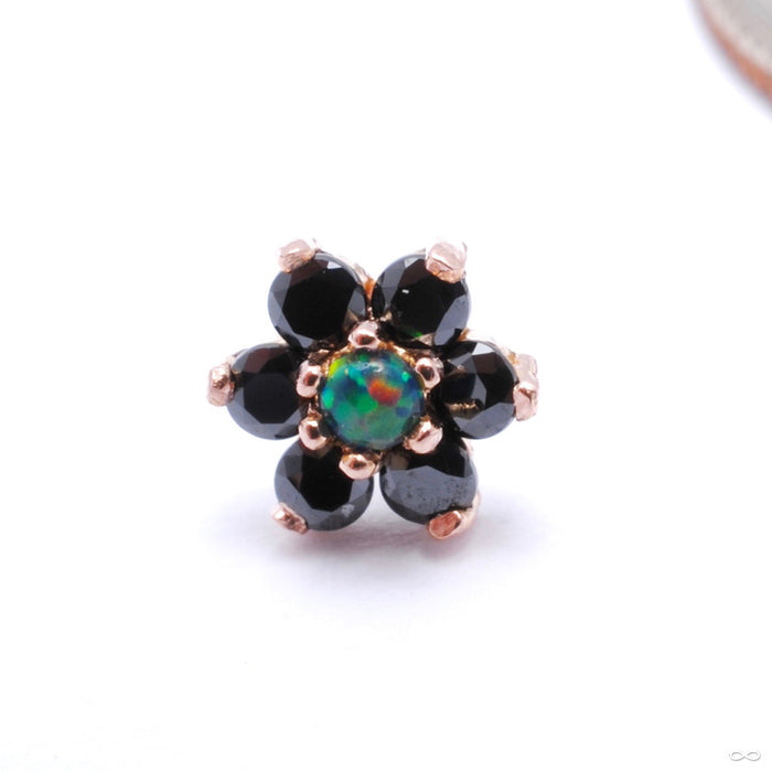 14k Rose Gold / Black with Black Opal Center / Medium