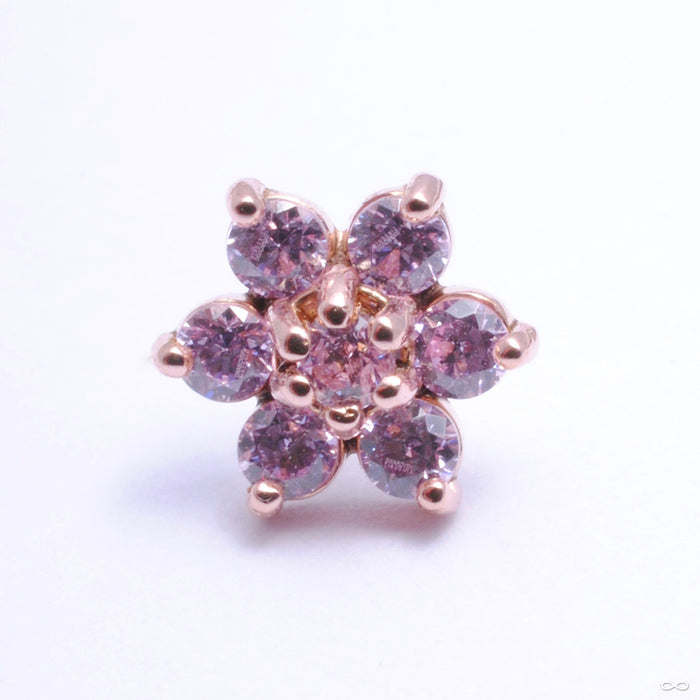 14k Rose Gold / Pink / Medium