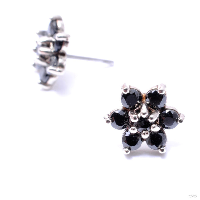 14k White Gold / Black / Medium
