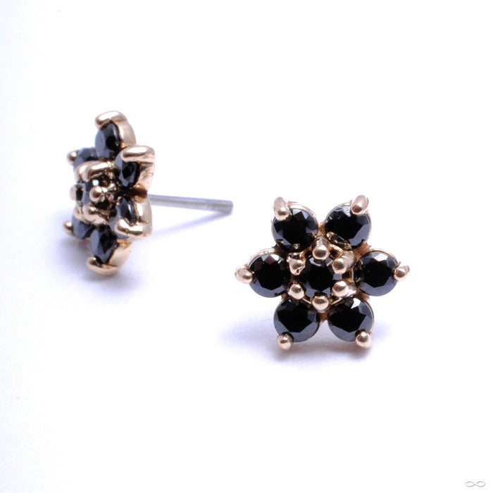14k Yellow Gold / Black / Medium