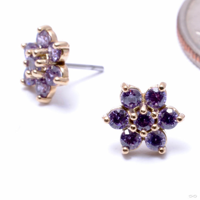 14k Yellow Gold / Amethyst / Medium