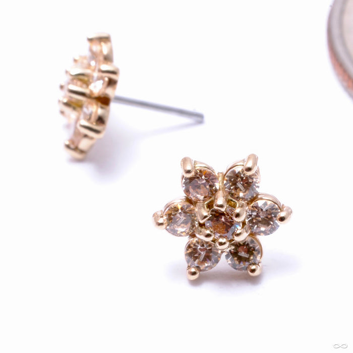 14k Yellow Gold / Champagne / Medium