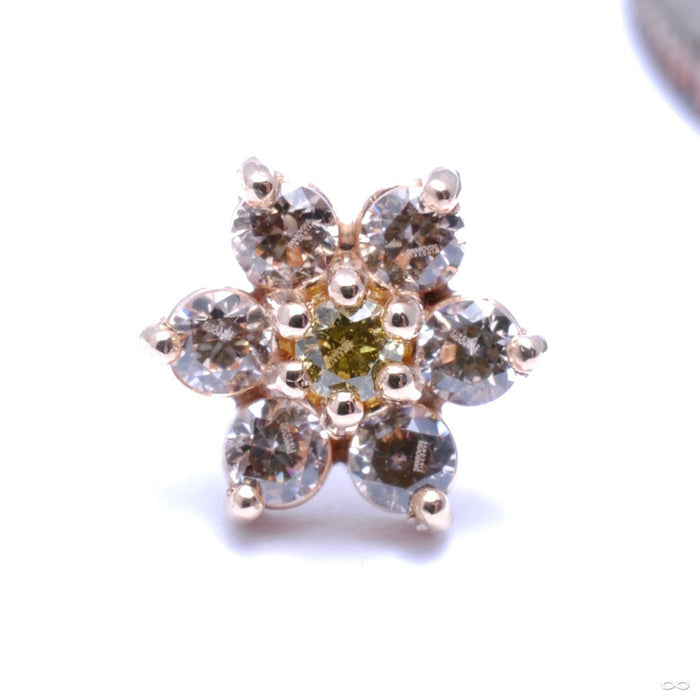 14k Yellow Gold / Champagne with Yellow Center / Medium