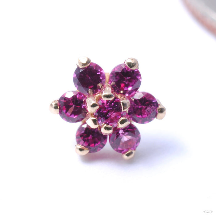 14k Yellow Gold / Dark Ruby / Small