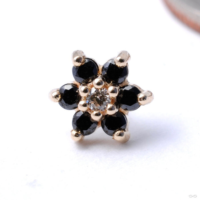 7 Stone Flower Press-fit End from LeRoi with Black & Champagne CZs