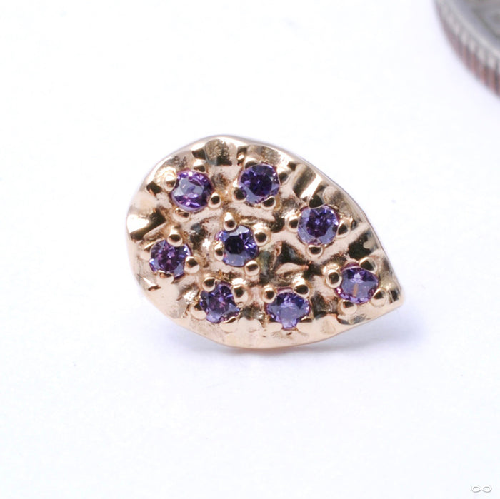 8 Stone Pear Press-fit End in Gold from LeRoi in Amethyst