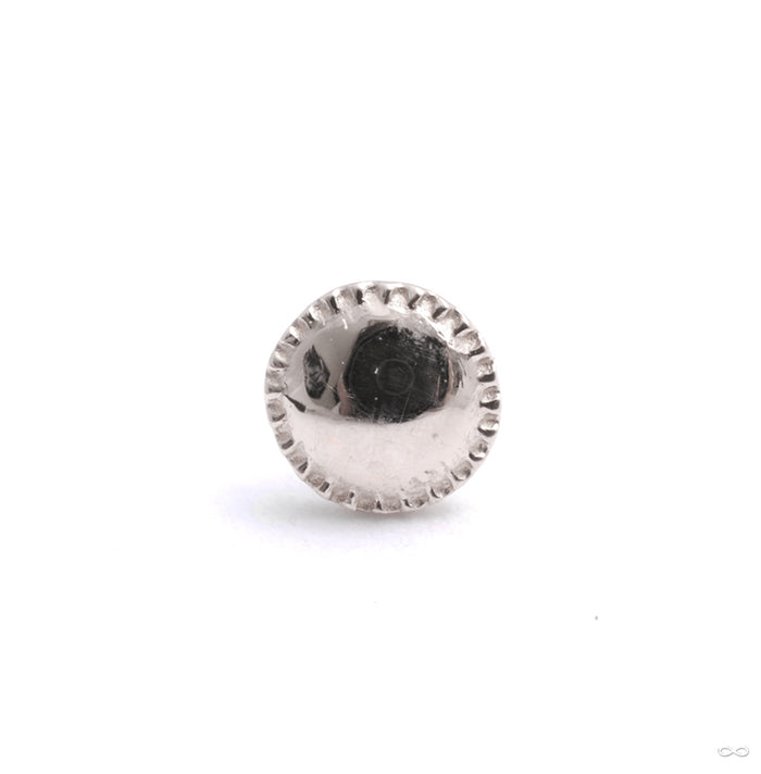 Alpha 01 Press-fit End in Gold from Tether Jewelry in 14k white gold