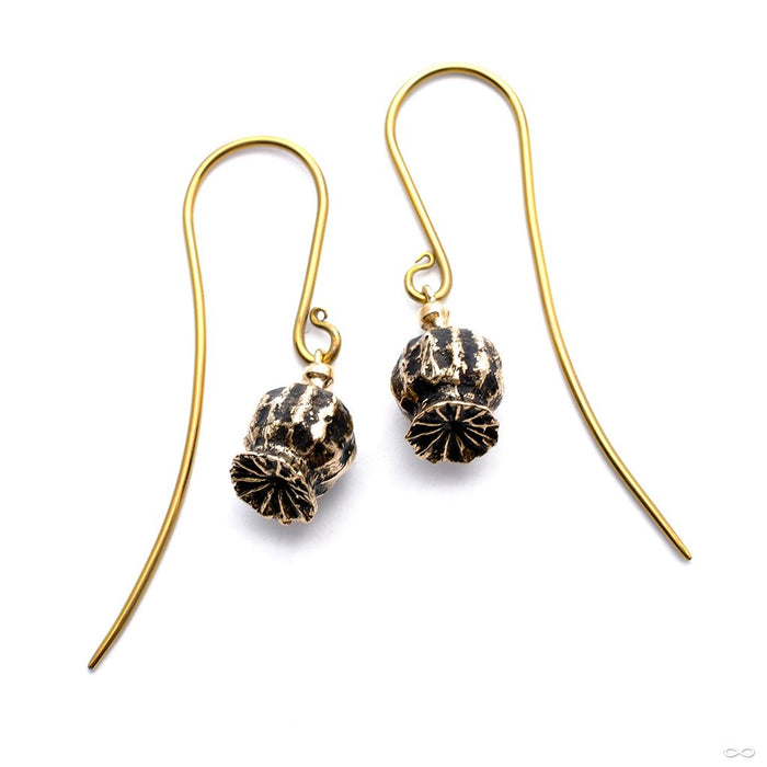 Amapola from Quetzalli in Brass