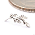 Amity Press-fit End in Gold from BVLA in 14k White Gold