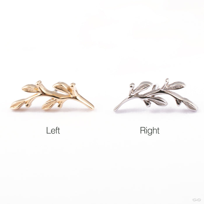 Amity Press-fit End in Gold from BVLA Orientation Detail Photo