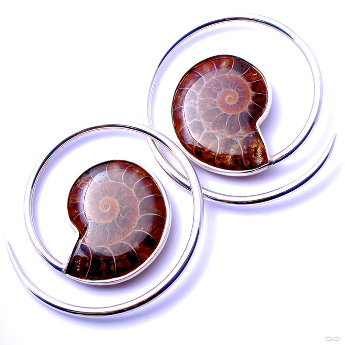 Ammonite Hoops from Quetzalli in White Brass
