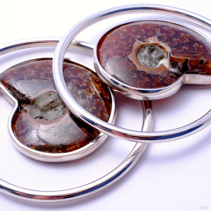 Ammonite Hoops from Quetzalli in White Brass