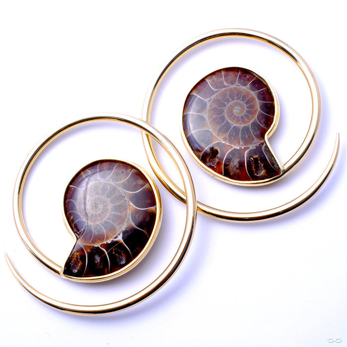 Ammonite Hoops from Quetzalli in Brass