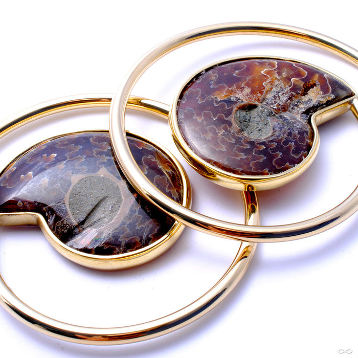 Ammonite Hoops from Quetzalli in Brass