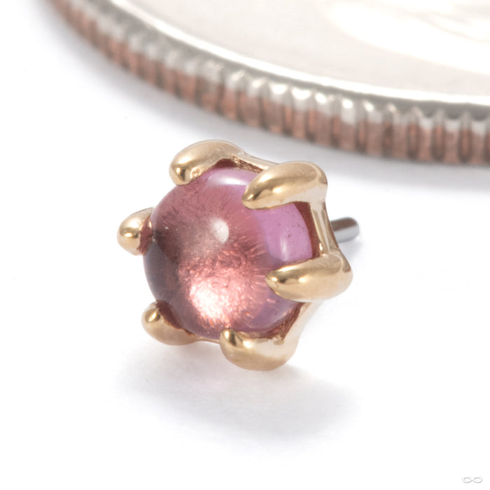 Amulet Press-fit End in 14k Yellow Gold with Purple Pyrope from Ember Body Jewelry