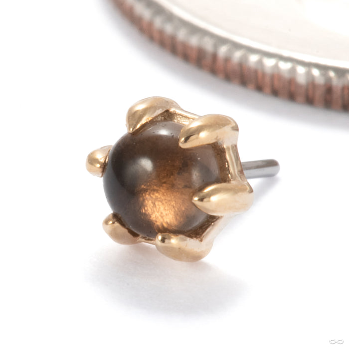 Amulet Press-fit End in 14k Yellow Gold with Smoky Quartz from Ember Body Jewelry