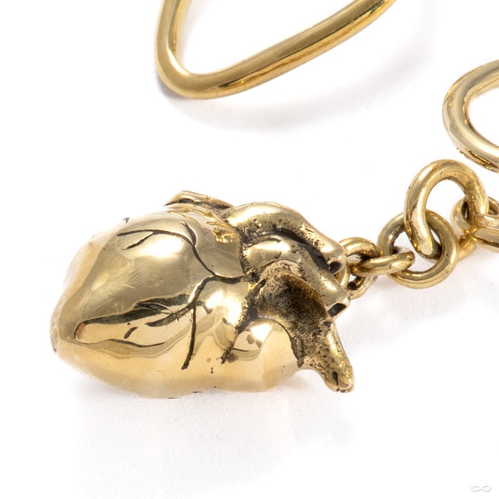 Anatomica from Diablo Organics in brass