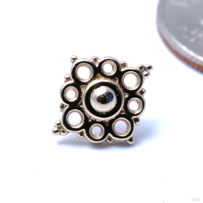 Angela Press-fit End in Gold from BVLA in All Gold