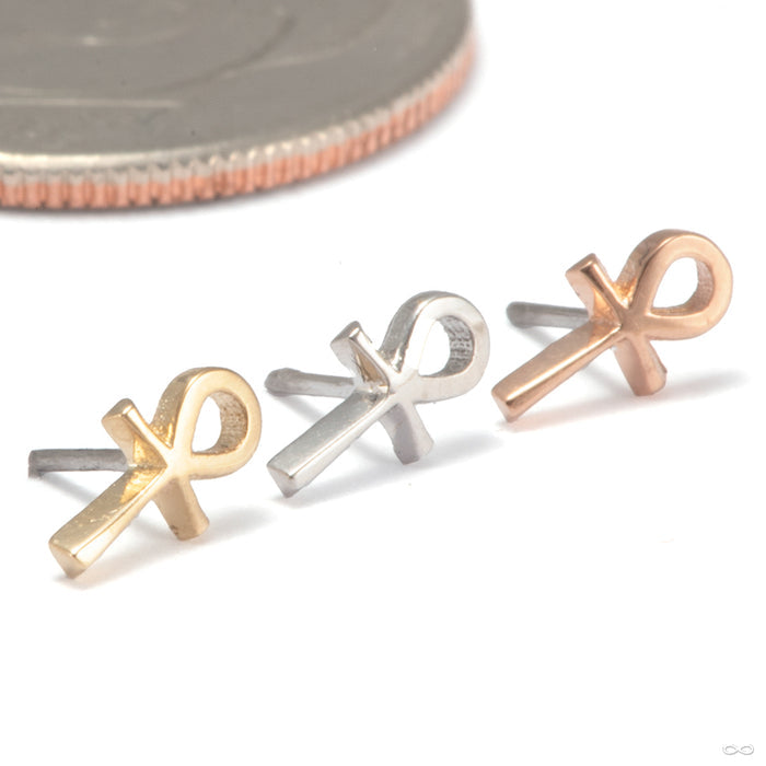 Ankh Press-fit End in Gold from Tawapa in assorted materials