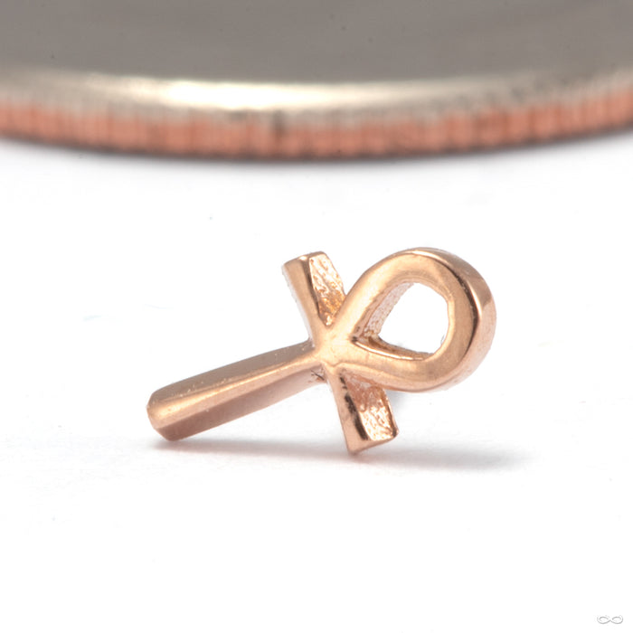 Ankh Press-fit End in 14k Rose Gold from Tawapa