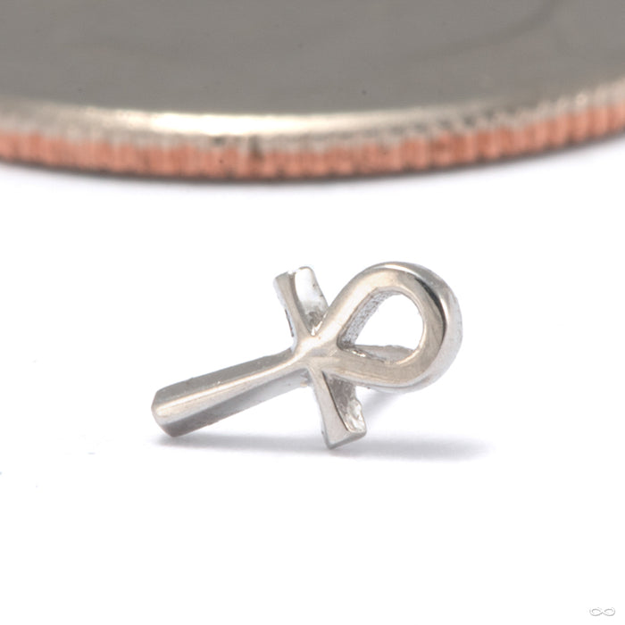 Ankh Press-fit End in 14k White Gold from Tawapa