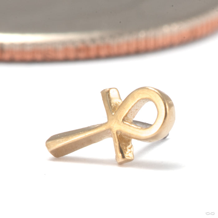 Ankh Press-fit End in 14k Yellow Gold from Tawapa