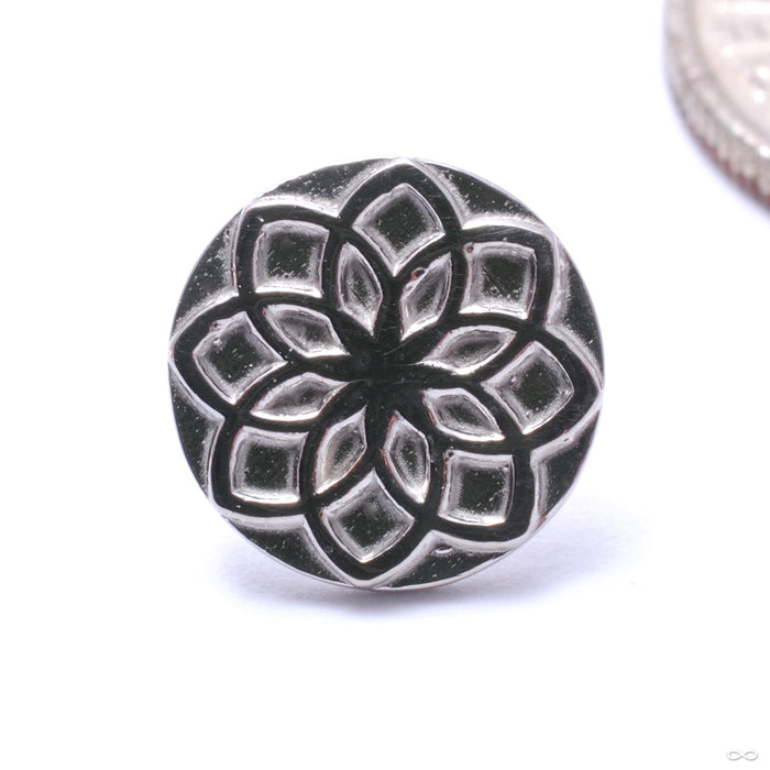 Aster 00 Press-fit End in Gold from Tether Jewelry in white gold