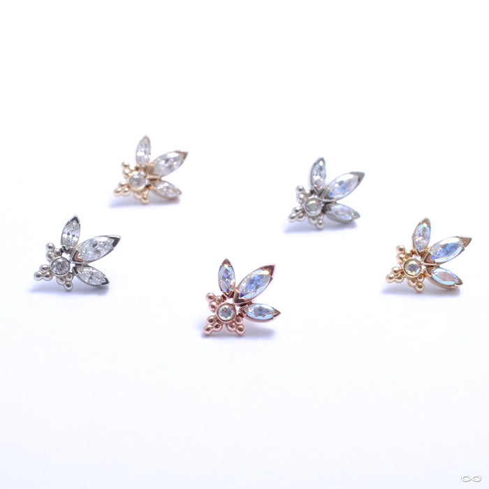 Audrey Press-fit End in Gold from LeRoi in assorted materials