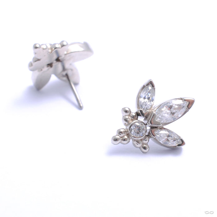 Audrey Press-fit End in Gold from LeRoi with clear CZ