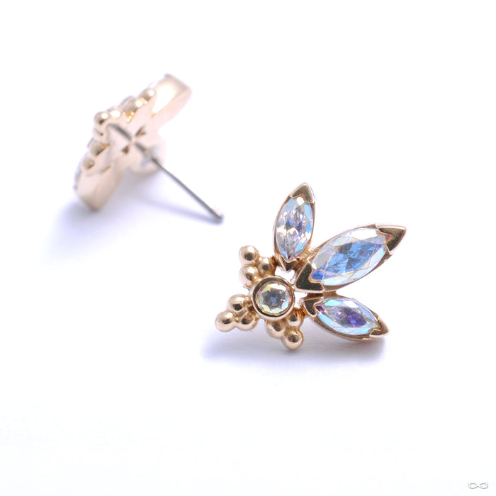 Audrey Press-fit End in Gold from LeRoi with aurora borealis