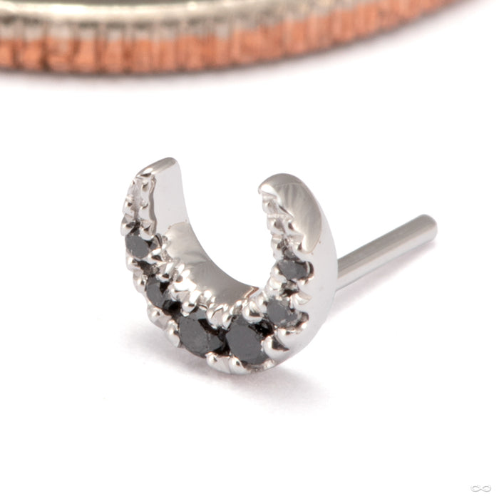 Ayla Press-fit End in 14k White Gold with Black Diamonds from Modern Mood