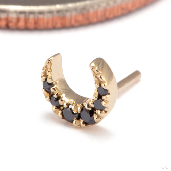 Ayla Press-fit End in 14k Yellow Gold with Black Diamonds from Modern Mood
