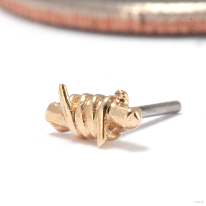 Barbed Wire Press-fit End in 14k Yellow Gold from Tawapa