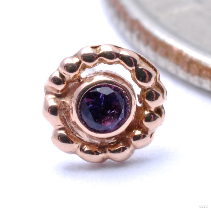 Bead Swirl Press-fit End in Gold from BVLA with Amethyst