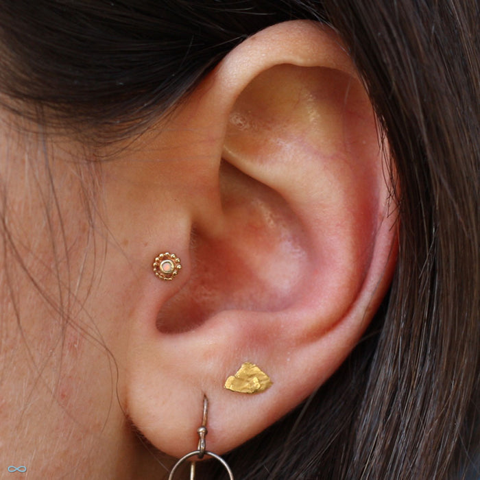 Bead Swirl Press-fit End in Gold from BVLA in a tragus piercing