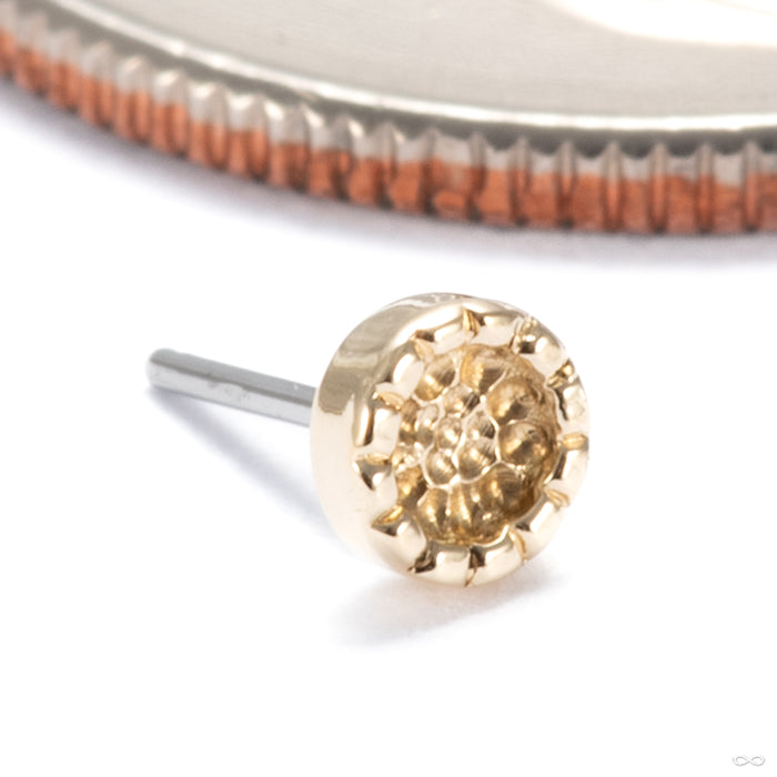 Beaded Hammered Disk Press-fit End in 14k Yellow Gold 3mm from Seasons Handmade