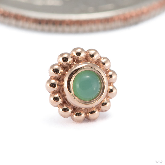 Beaded Raine Press-fit End in 14k Rose Gold with Chrysoprase Cabochon from BVLA