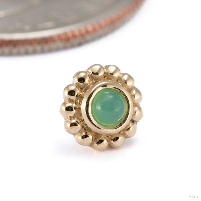 Beaded Raine Press-fit End in 14k Yellow Gold with Chrysoprase Cabochon from BVLA