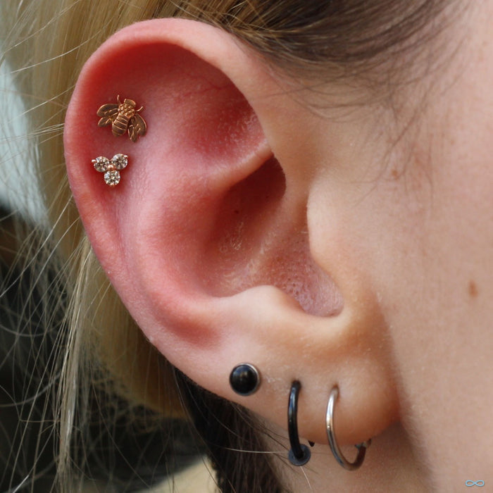 Outer helix piercing with Bee Press-fit End in Gold from LeRoi