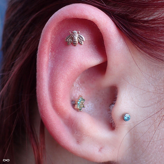 Bee Press-fit End in Gold from LeRoi in a helix piercing