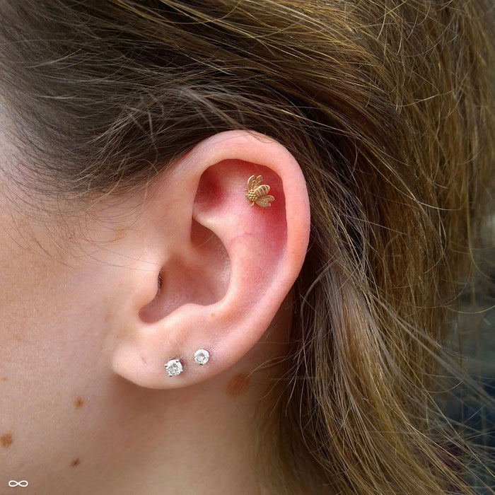 Outer Helix Piercing with Bee Press-fit End in Gold from LeRoi in 14k Yellow Gold