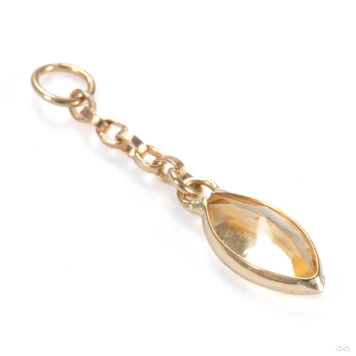 Belleza Charm in 14k Yellow Gold with Citrine from Hialeah