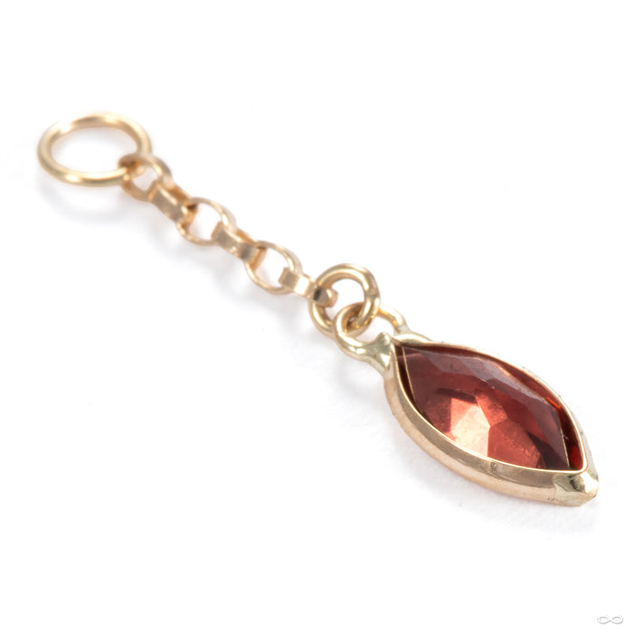 Belleza Charm in 14k Yellow Gold with Garnet from Hialeah